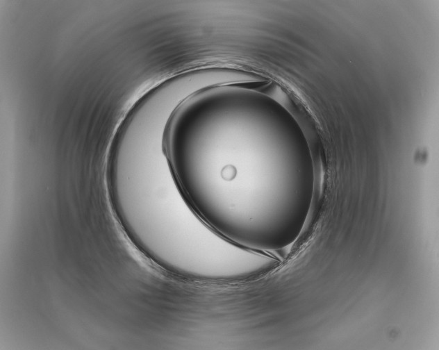 X0000090861034200708101215