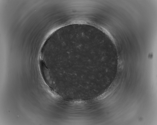 X0000090861035200708101215