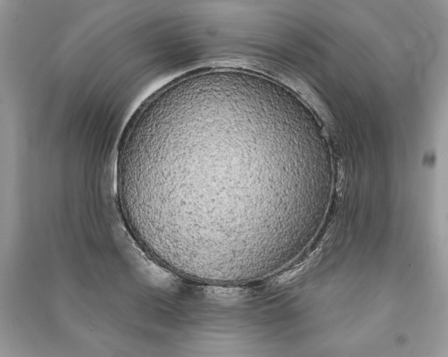 X0000090861036200708101215