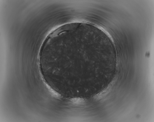 X0000090861037200708101215