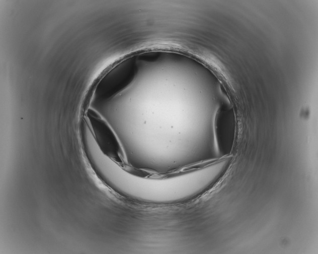 X0000090861038200708101215