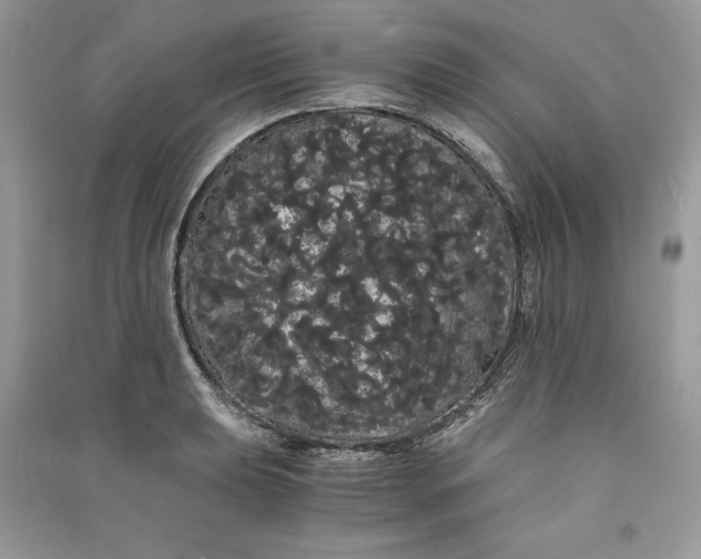 X0000090861039200708101215