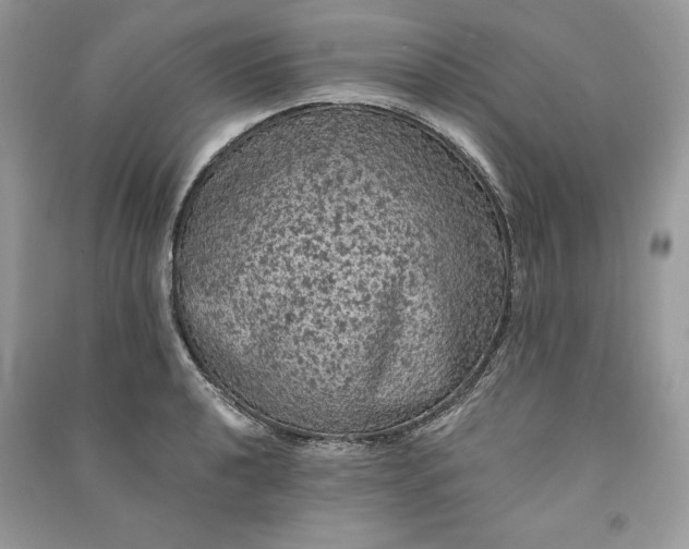 X0000090861040200708101215