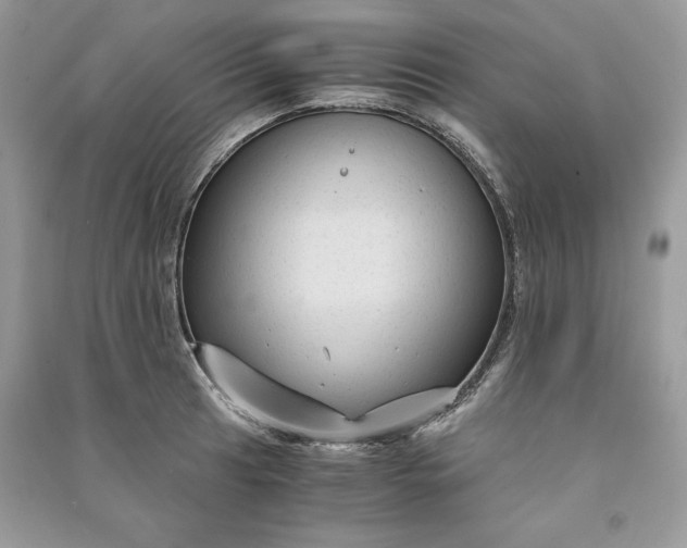 X0000090861041200708101215