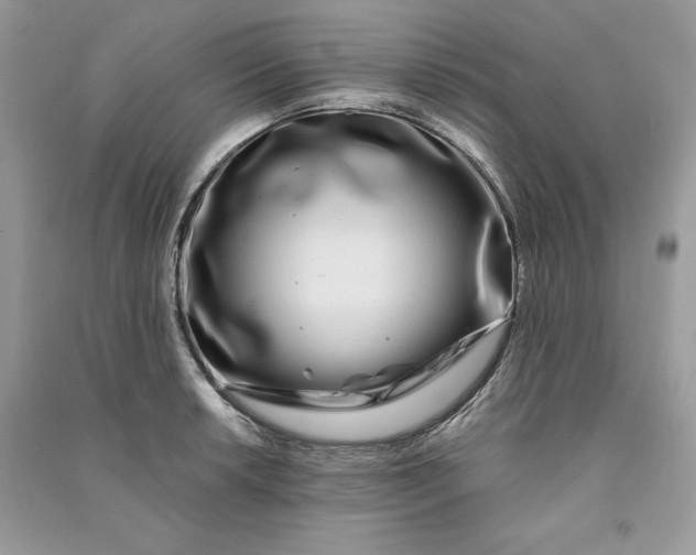 X0000090861042200708101215