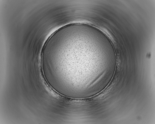 X0000090861044200708101215