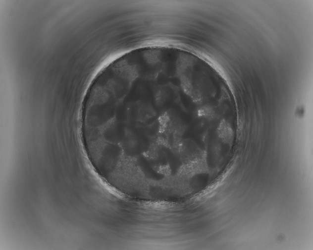 X0000090861045200708101215