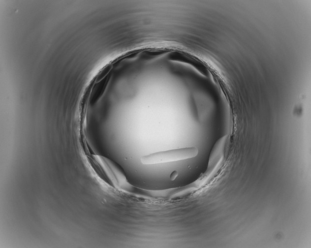 X0000090861046200708101215