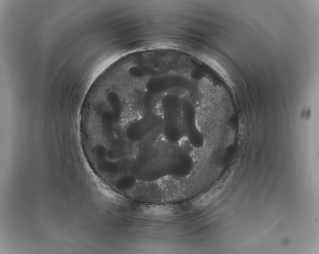 X0000090861047200708101215