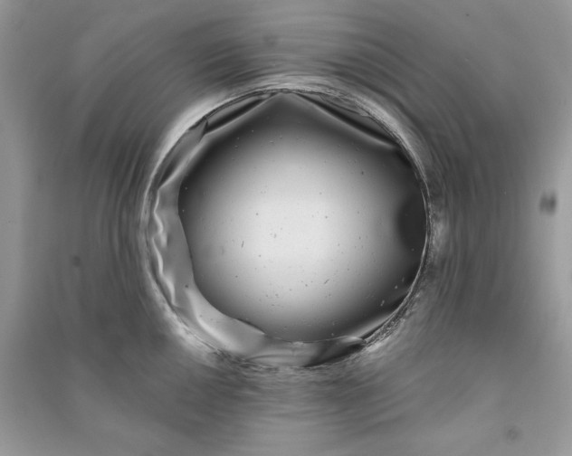 X0000090861050200708101215