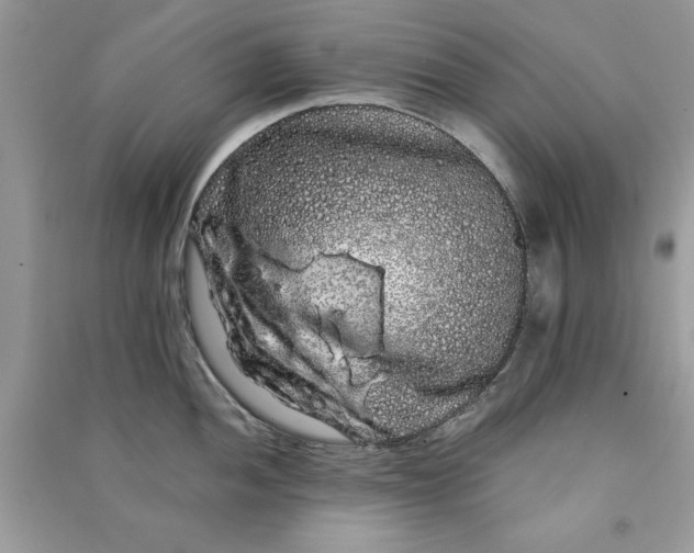 X0000090861052200708101215