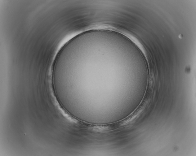 X0000090861053200708101215