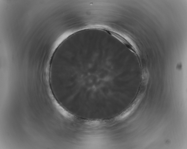 X0000090861054200708101215