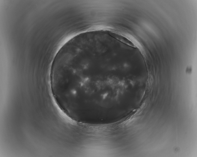 X0000090861055200708101215