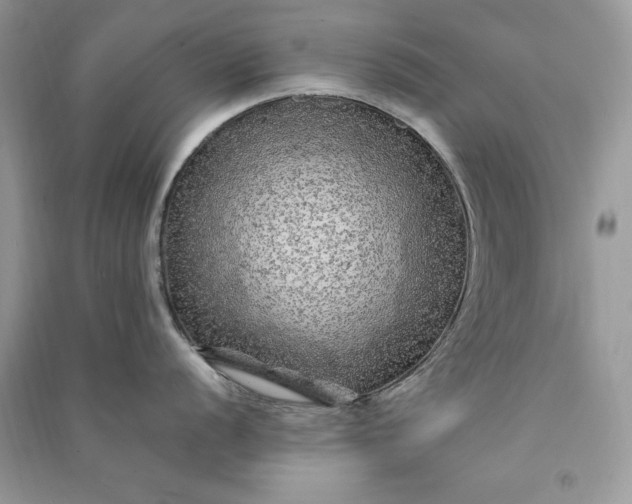 X0000090861056200708101215