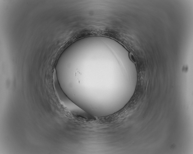 X0000090861057200708101215