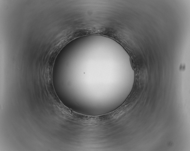 X0000090861058200708101215