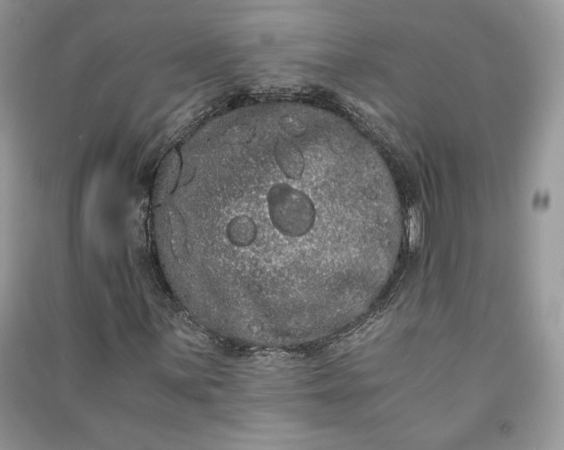 X0000090861059200708101215