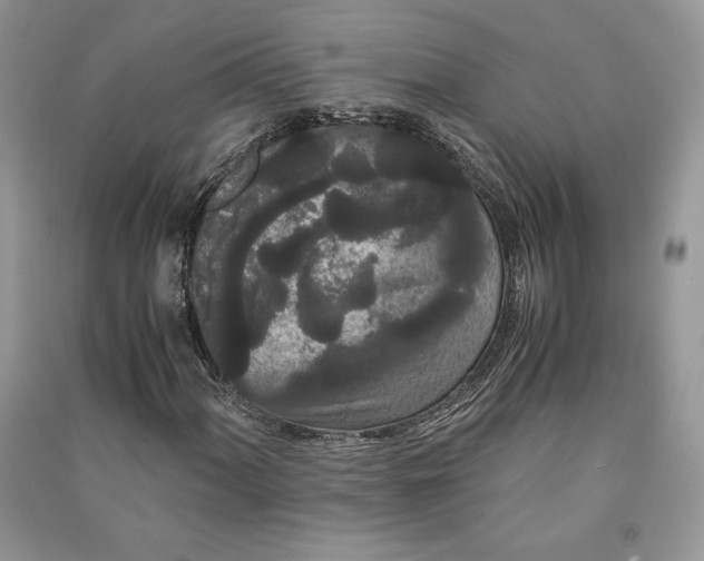 X0000090861060200708101215