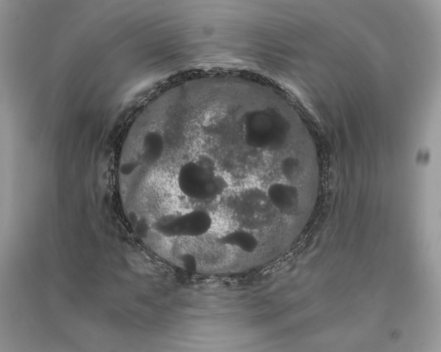 X0000090861063200708101215