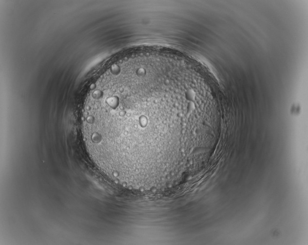 X0000090861064200708101215