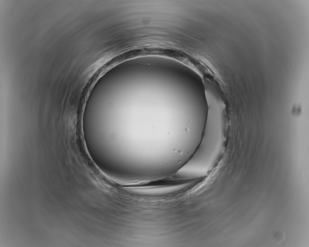 X0000090861065200708101215