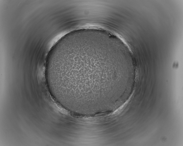 X0000090861066200708101215