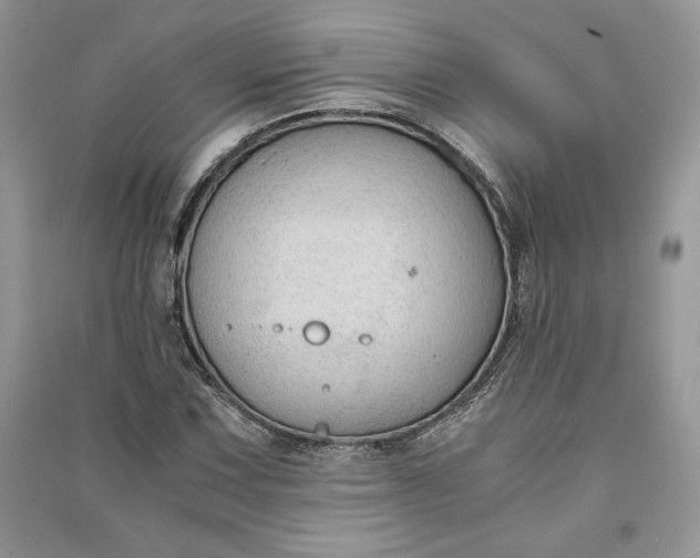 X0000090861067200708101215