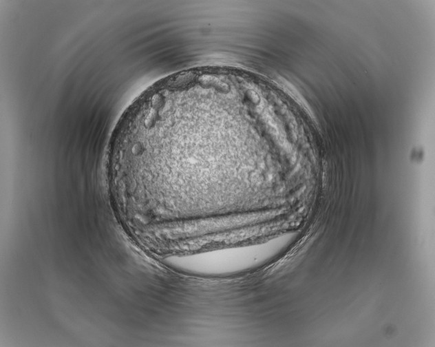 X0000090861068200708101215