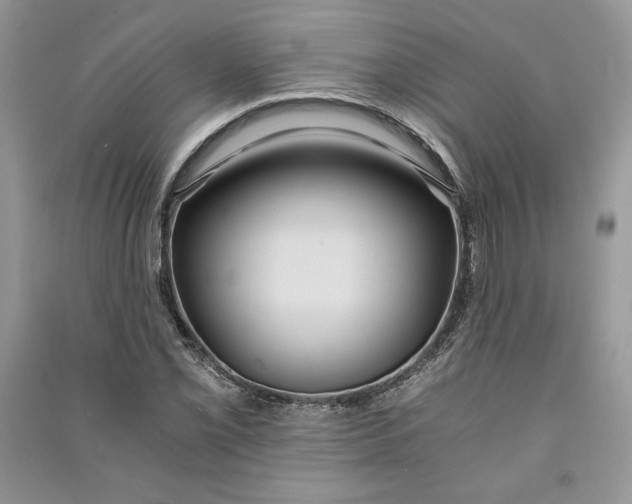 X0000090861069200708101215