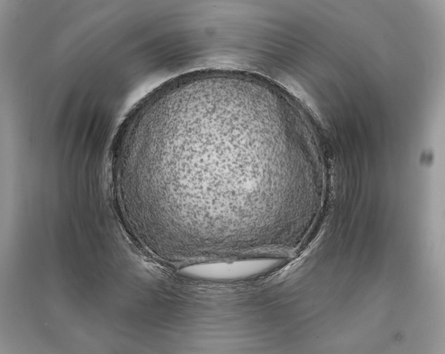 X0000090861070200708101215