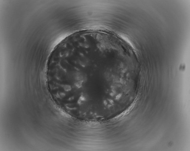 X0000090861071200708101214