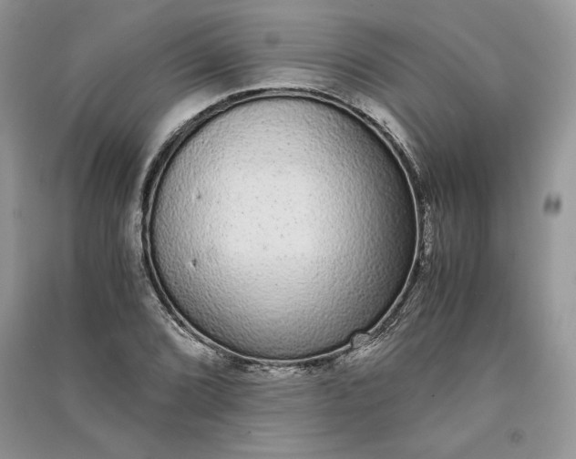 X0000090861072200708101214