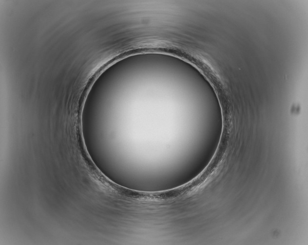 X0000090861073200708101214