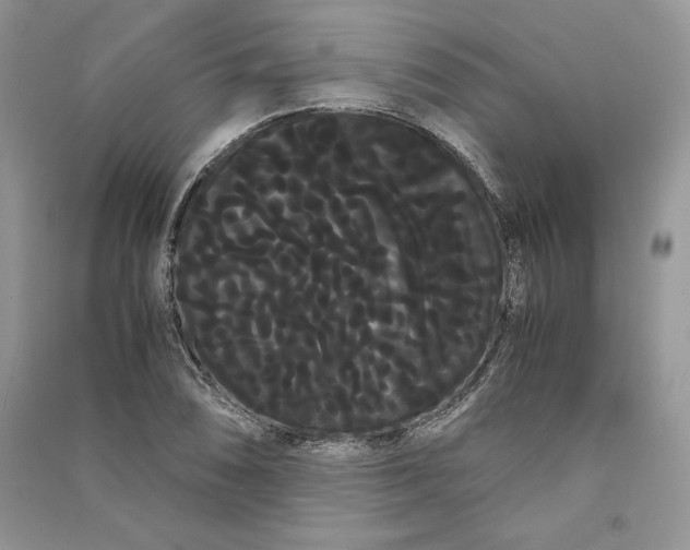 X0000090861074200708101214