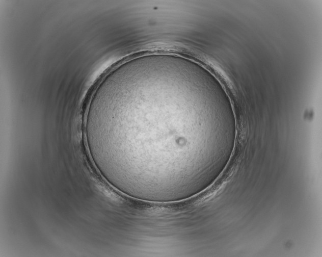 X0000090861075200708101214