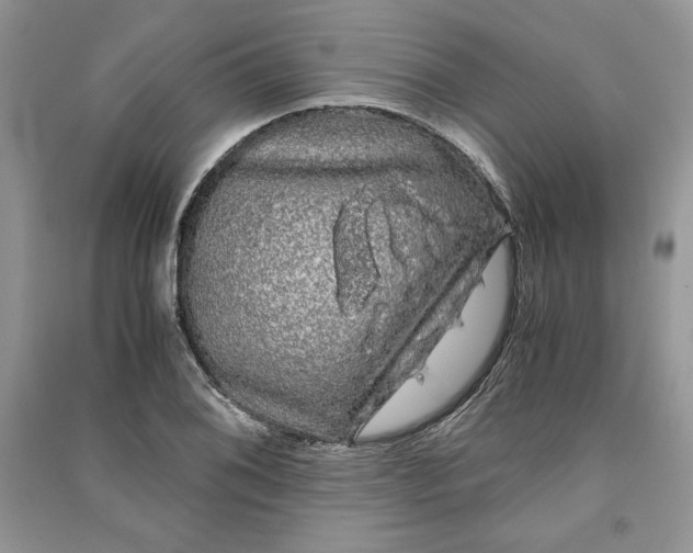 X0000090861076200708101214