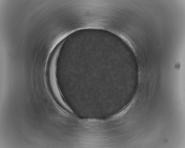 X0000090861077200708101214