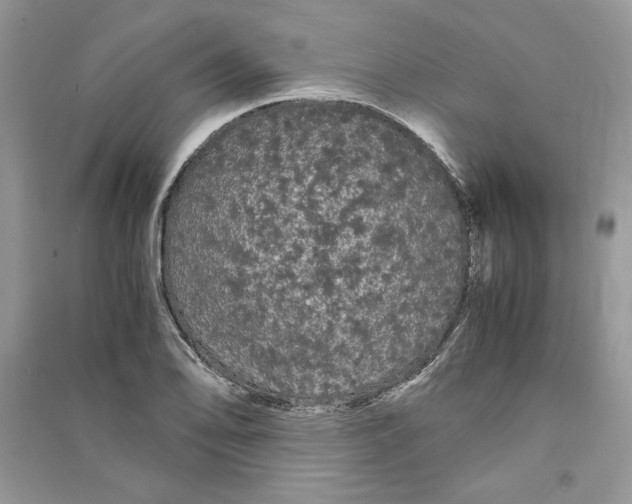 X0000090861078200708101214