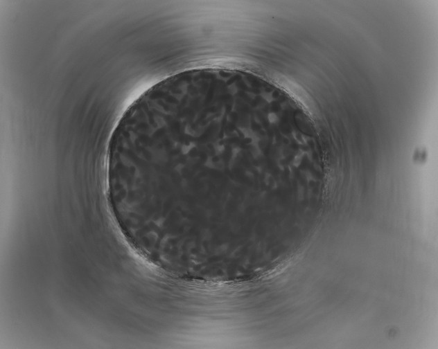 X0000090861079200708101214