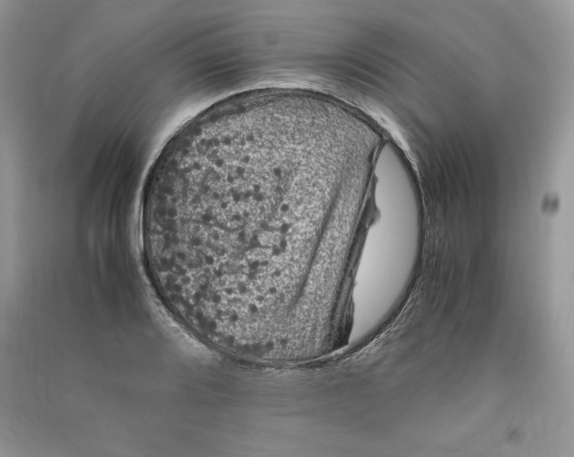 X0000090861080200708101214