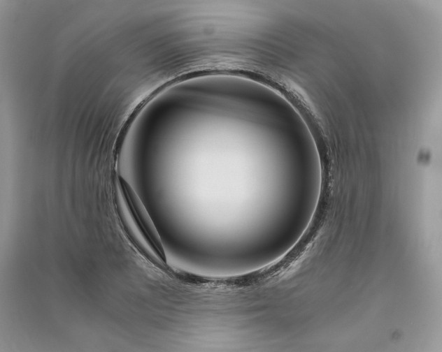 X0000090861081200708101214