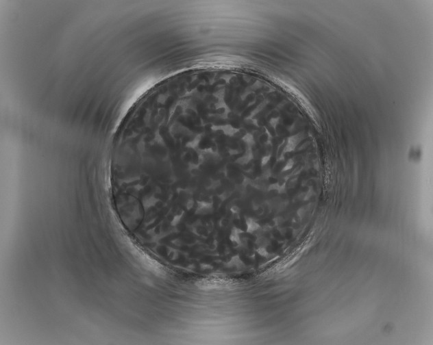 X0000090861083200708101214