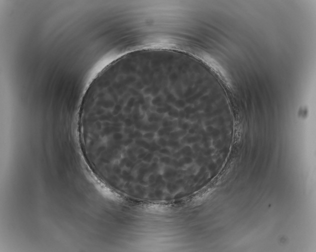 X0000090861086200708101214