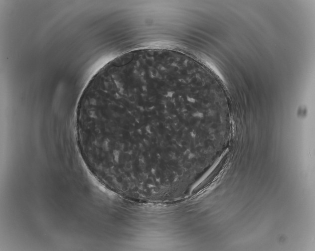 X0000090861087200708101214