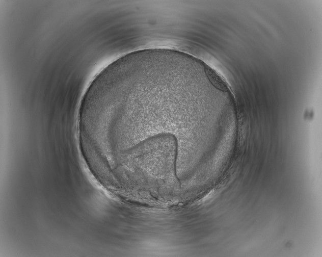 X0000090861088200708101214