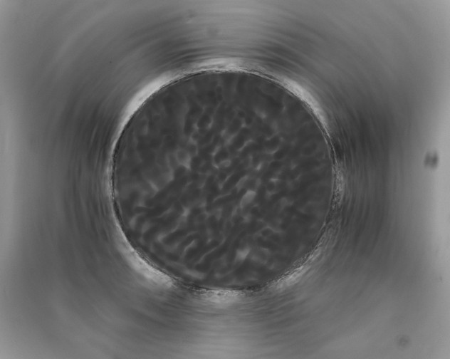 X0000090861090200708101214