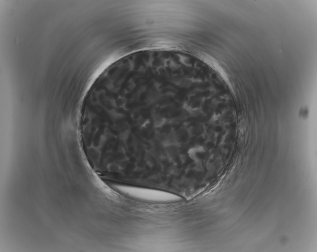 X0000090861091200708101214