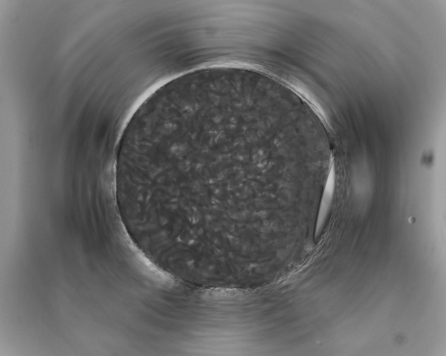 X0000090861092200708101214