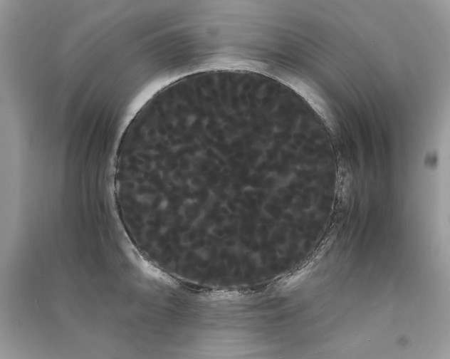 X0000090861094200708101214